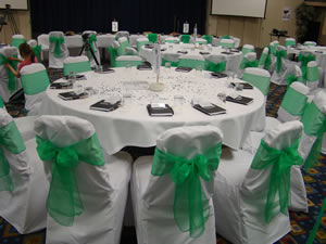 Green Organza Holiday Inn